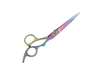 Hair Cutting Scissors