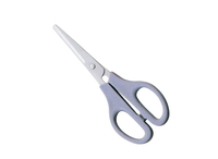 Plastic Handle Scissors